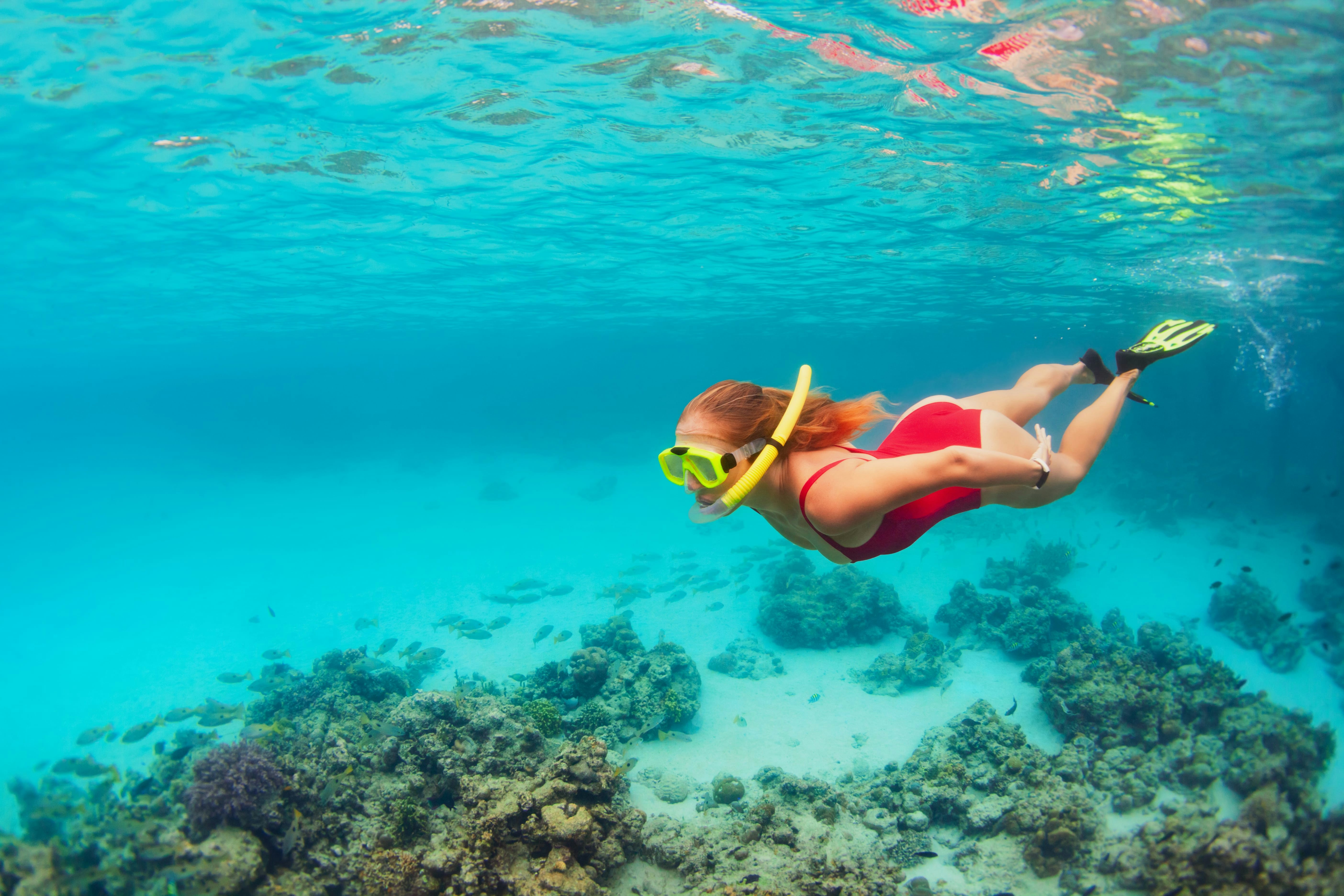 neutrogena reef safe sunscreen