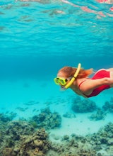 Face the Facts: Are Neutrogena Sunscreens Reef Safe?